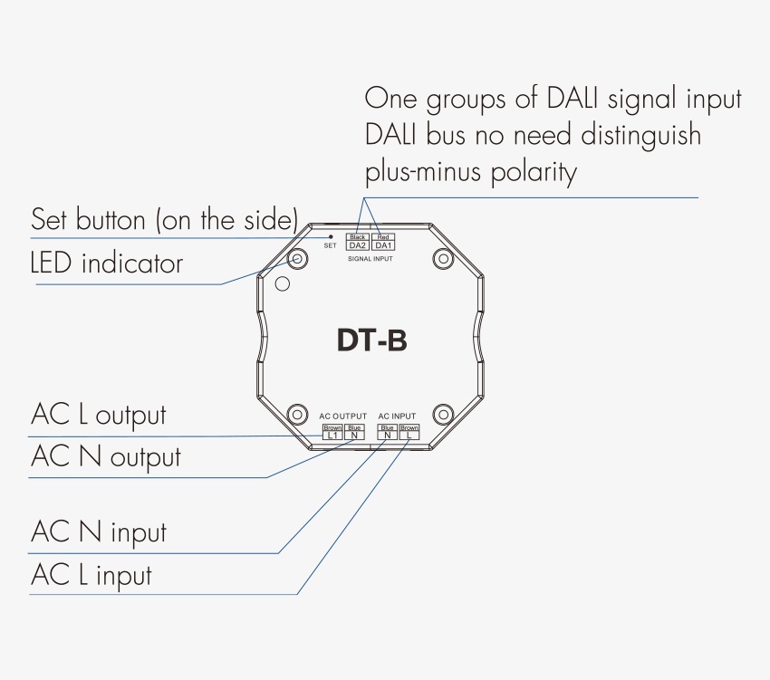 dtb-2